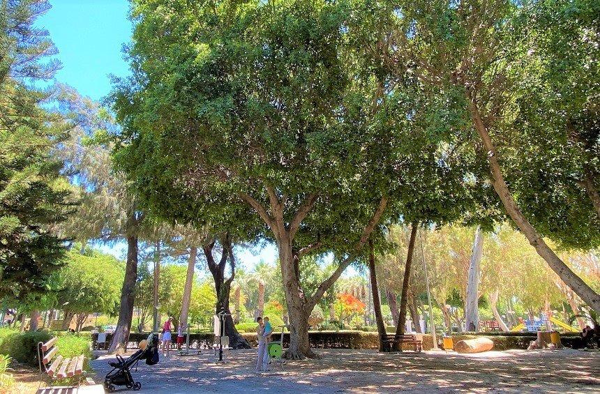 A Stage for the Future, Δημόσιος Κήπος Λεμεσού, 17–18 Οκτωβρίου 2026